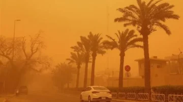 طقس متقلب.. الأرصاد الجوية توضح طبيعة موجة الدفء والأتربة التي تضرب البلاد حالياً